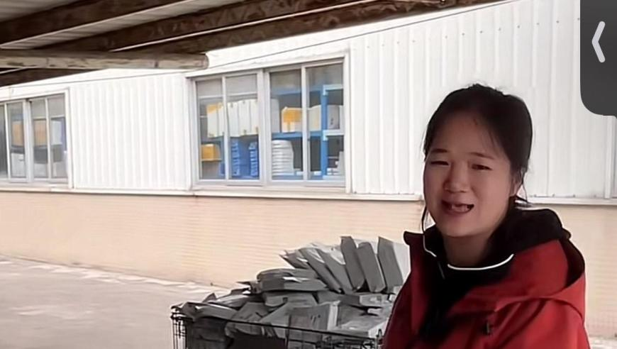 台湾深绿女孩：我居然不知道哪吒,澳门金钥匙手机资料,完美答案解释落实_手游版V5.35