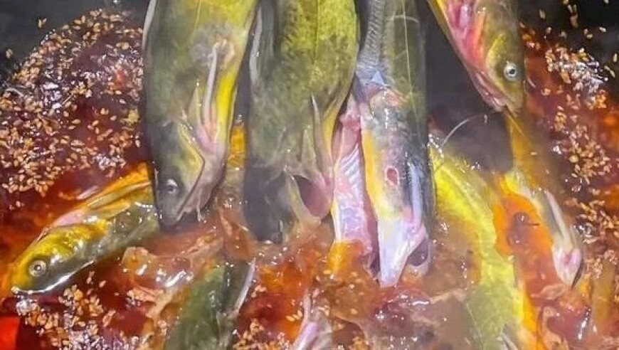 当我拿出红底证件照将是绝杀,48k澳门免费资料,权威独家讨论与热门话题_高级版V15.31